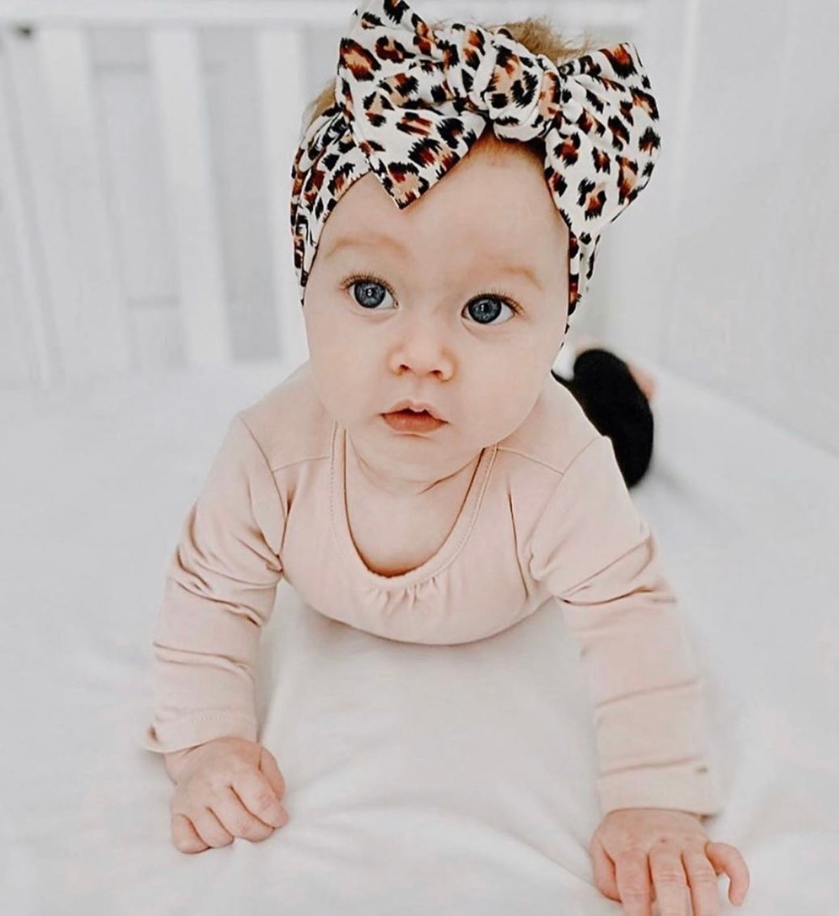 Favorite Leopard Print